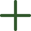 plus icon